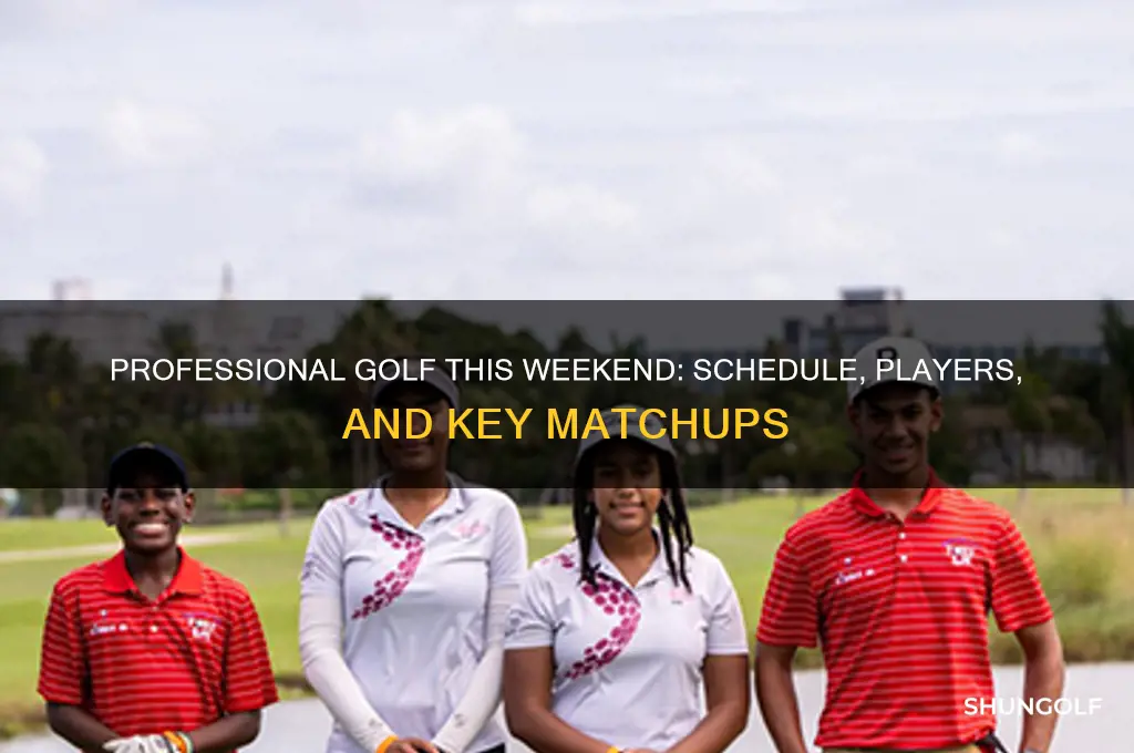 is there a professional golf game this weekend