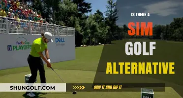 Best Sim Golf Alternatives: Fun Sports Management Games
