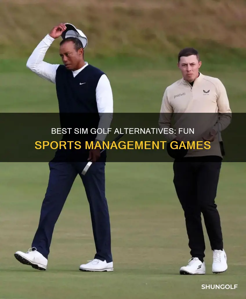 is there a sim golf alternative