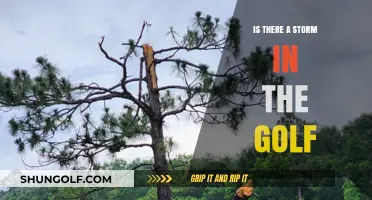 Is There a Storm Brewing on the Golf Course?