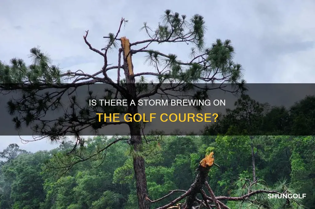 is there a storm in the golf