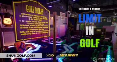 Understanding Golf's Stroke Limit: Rules, Etiquette, and Maximum Scores Explained