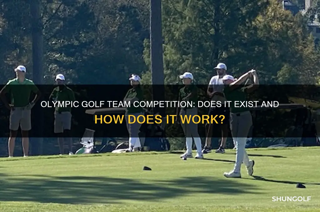 is there a team competition in olympic golf