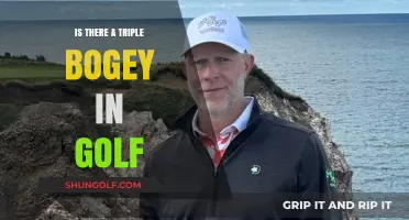 Understanding Triple Bogeys in Golf: Rules, Impact, and Strategies