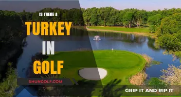 Golf's Turkey: What and Why?