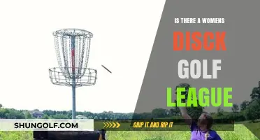 Exploring Women's Disc Golf Leagues: Opportunities and Community Growth