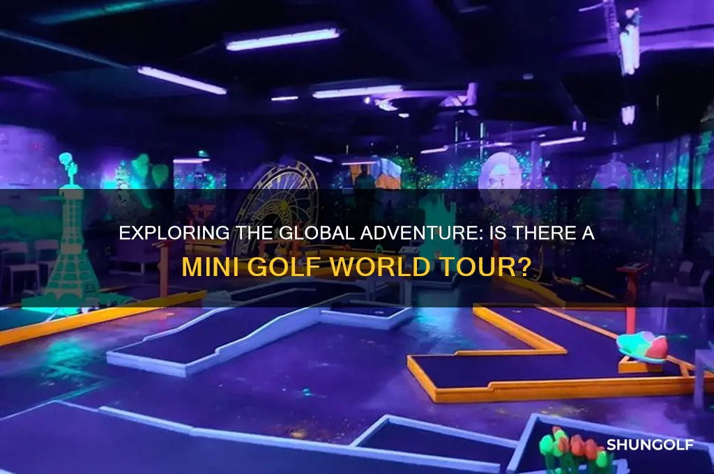 is there a world tour for mini golf