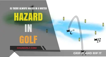 Golf's Water Hazards: Are They Always Wet? Uncovering the Truth