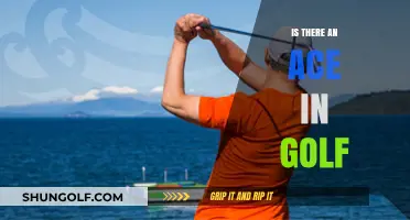 Golf's Elusive Ace: Is It Possible?