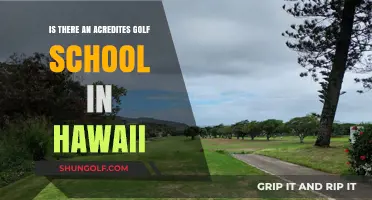 Discover Accredited Golf Schools in Hawaii: Your Ultimate Guide