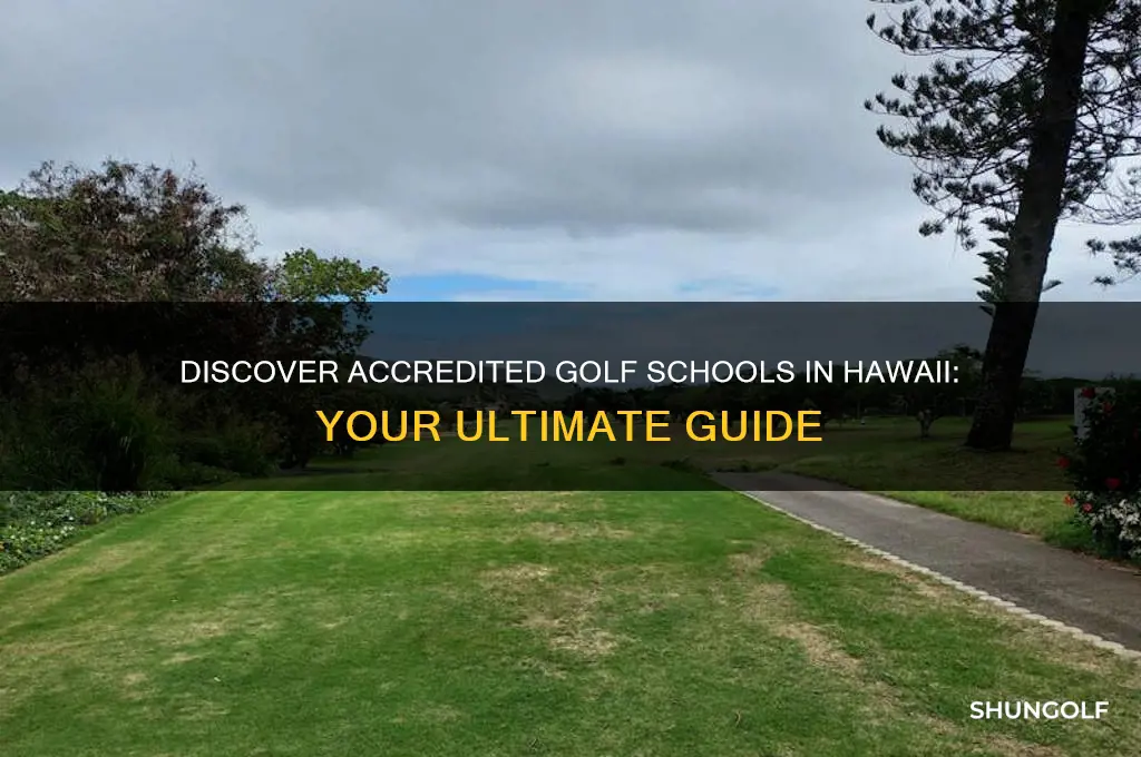 is there an acredites golf school in hawaii