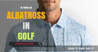 Golf's Albatross: Rare Birdie or Eagle Eye?