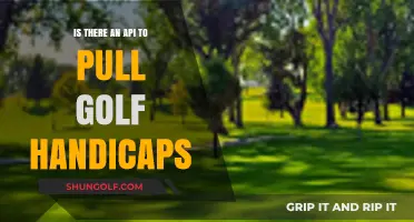 Accessing Golf Handicaps: Exploring APIs for Real-Time Data Retrieval