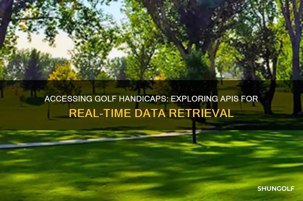is there an api to pull golf handicaps
