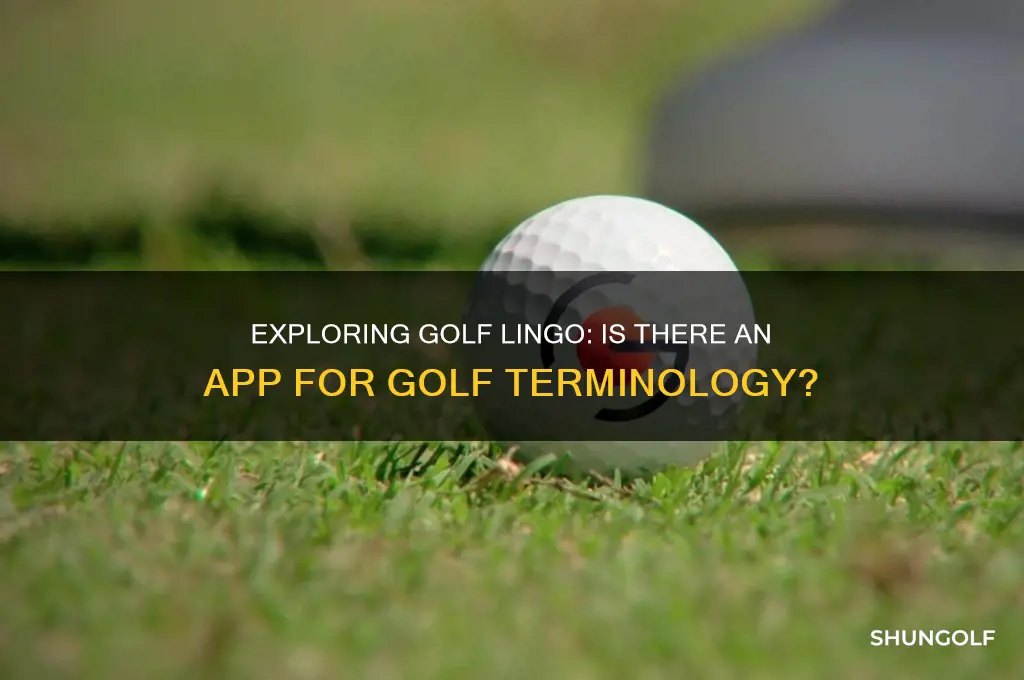 is there an app of golf terminology