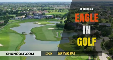 Golf Eagle: Rare Birdie or Common Feat?