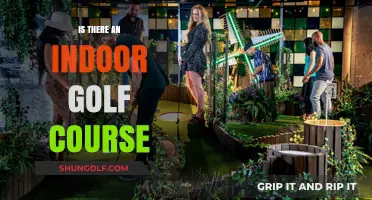 Exploring Indoor Golf Courses: Are They a Real Thing?