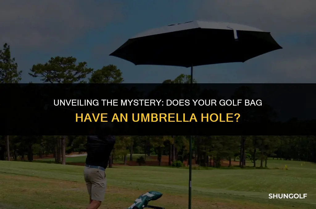 is there an umbrella hole on golf my bag