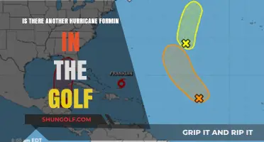 Potential Gulf Hurricane: Tracking the Latest Storm Developments and Risks