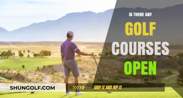 Discover Open Golf Courses Near You: Play Today!