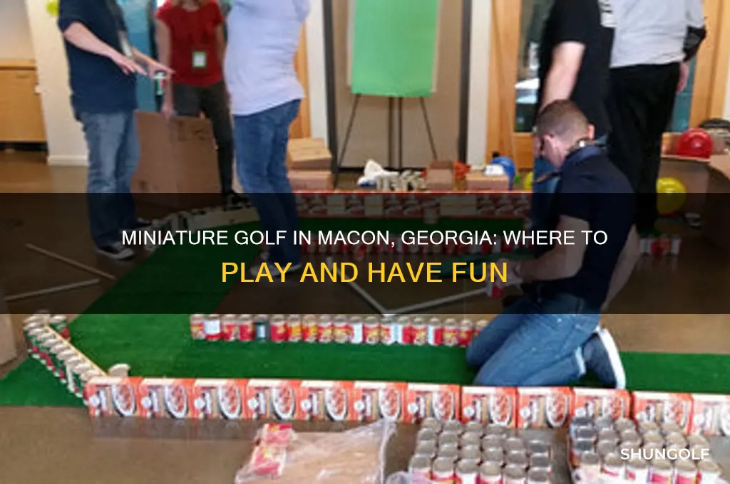 is there any miniature golf in macon georgia