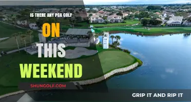 PGA Golf This Weekend: Schedule, Players, and Where to Watch