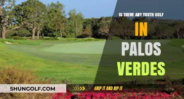 Youth Golf in Palos Verdes: Opportunities and Programs for Young Players