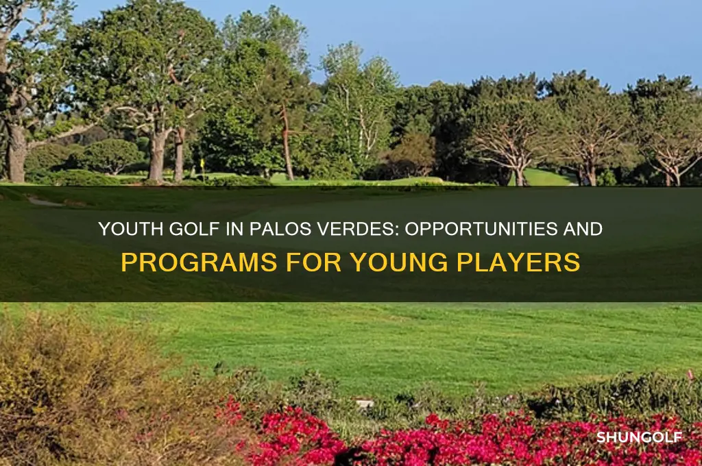 is there any youth golf in palos verdes