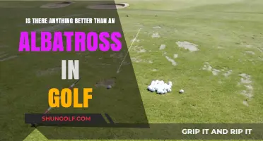 Golf's Ultimate Achievement: Is the Albatross Truly Unmatched?