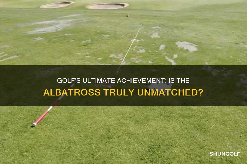 is there anything better than an albatross in golf