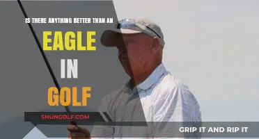 Golf's Ultimate Triumph: Can Any Achievement Surpass an Eagle?