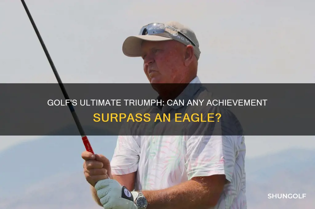 is there anything better than an eagle in golf