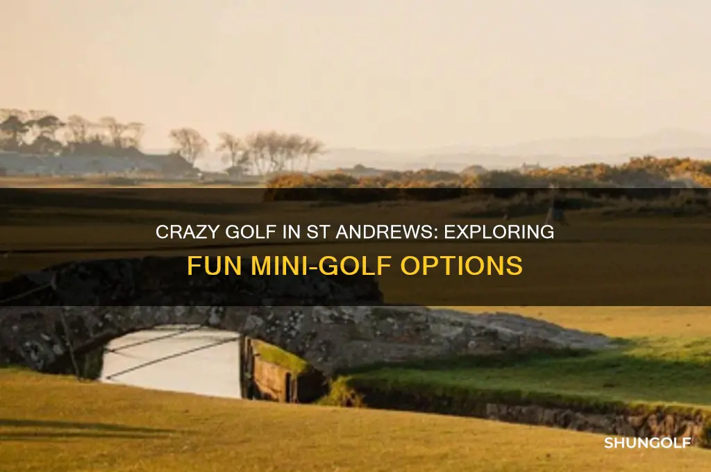 is there crazy golf in st andrews