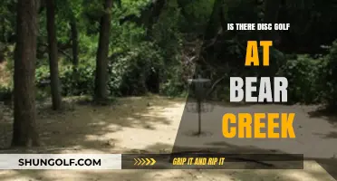 Exploring Bear Creek: A Guide to Disc Golf Availability