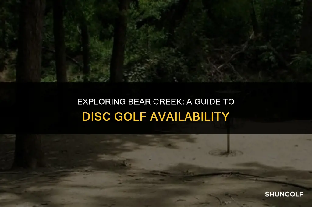 is there disc golf at bear creek