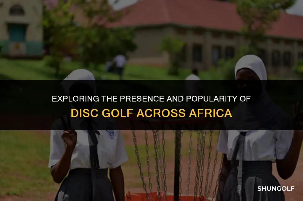 is there disc golf in africa