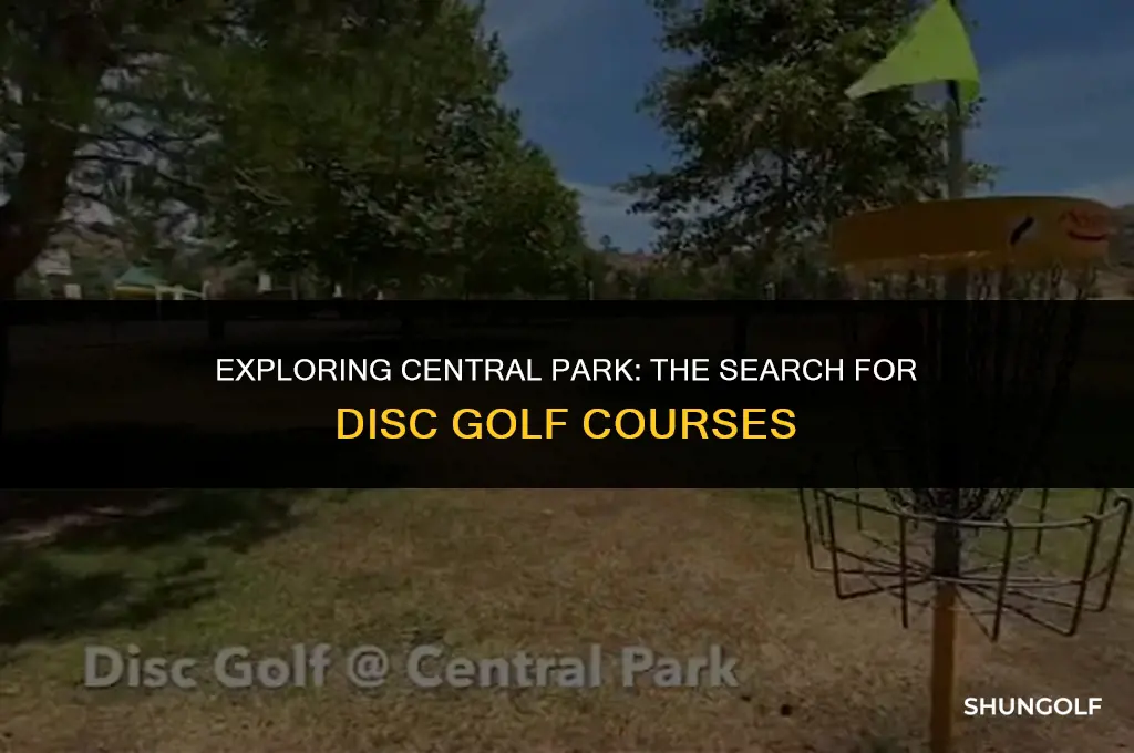 is there disc golf in central park