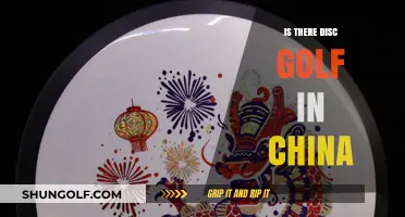 Exploring the Presence and Popularity of Disc Golf in China