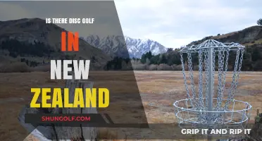 Exploring New Zealand's Disc Golf Scene: A Comprehensive Guide