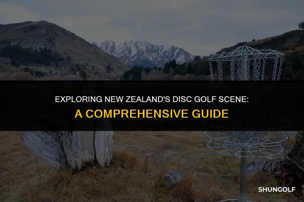 is there disc golf in new zealand