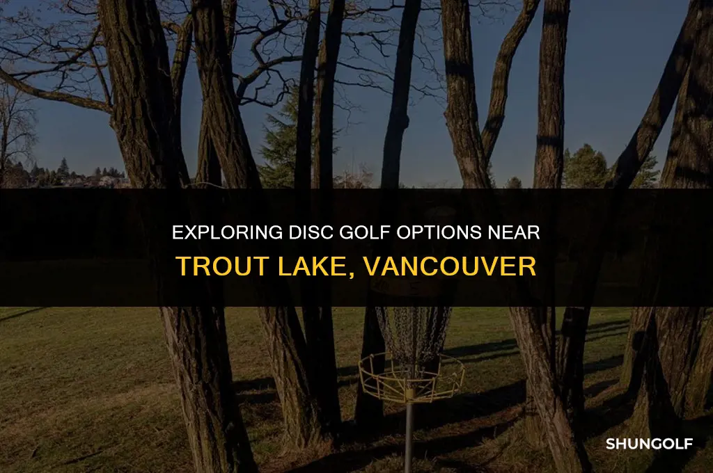 is there disc golf in trout lake vancouver