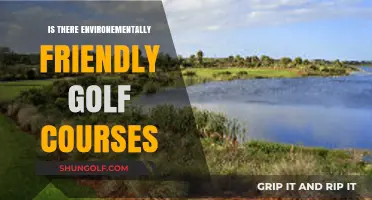 Eco-Friendly Fairways: Exploring Sustainable Golf Course Practices