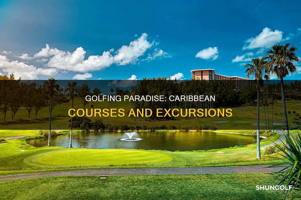 is there golf excursion in carribbean