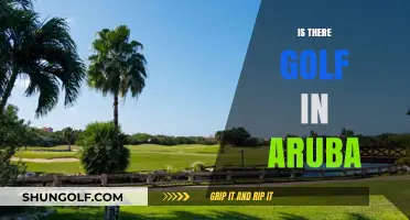 Golfing in Aruba: A Hole-in-One Experience