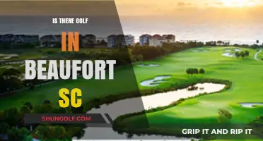 Golfing in Beaufort, SC: A Hole-in-One Experience