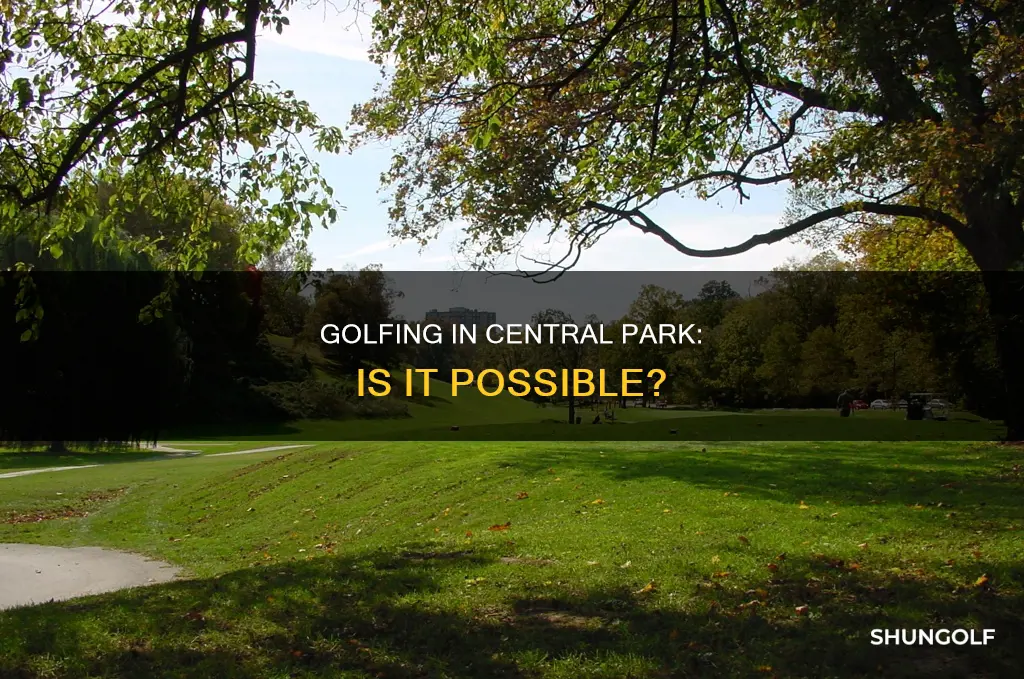 is there golf in central park
