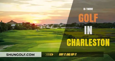 Charleston's Golfing Scene: A Hole-in-One
