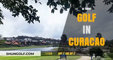 Golfing in Curaçao: A Hole-in-One Experience
