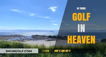Will Heaven Be a Hole-in-One for Golfers?