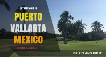 Exploring Puerto Vallarta's Golf Scene: Courses, Resorts, and More